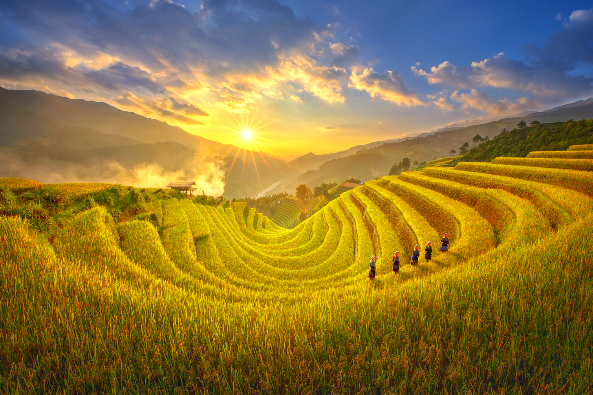 Vietnam