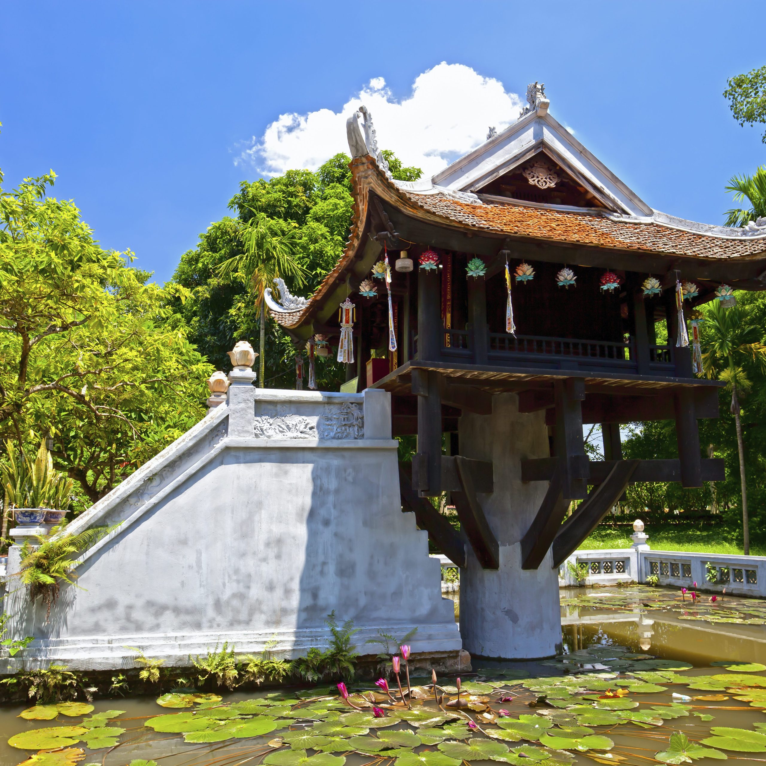 Vietnam Daily Tours