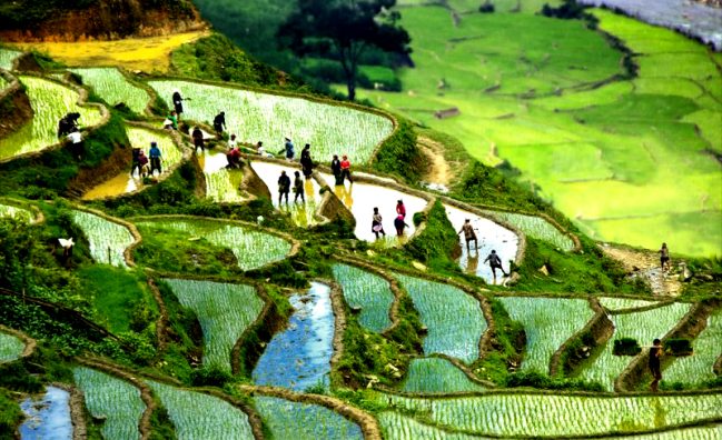HANOI – SAPA – HANOI